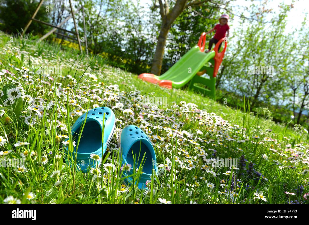Eine Frühlingswiese mit Gänseblümchen und einer Rutsche lädt zum Spielen ein - un prato primaverile con margherite e bambini la diapositiva ti invita a giocare Foto Stock