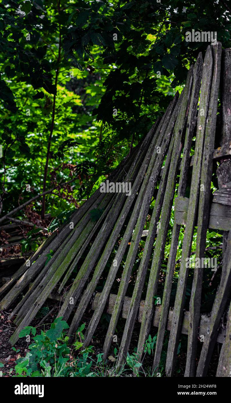 vecchia recinzione di legno rickety e crollò di tempo. Foto di alta qualità Foto Stock