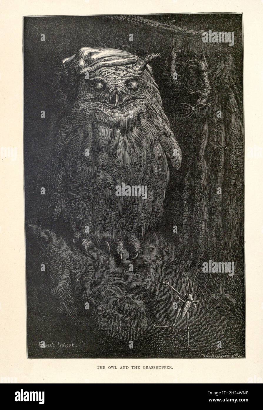 The Owl and the grasshopper from Aesop's favles Illustrated by Joseph Benjamin Rundell, e pubblicato a Londra e New York da Cassell Petter and Galpin nel 1869 Foto Stock