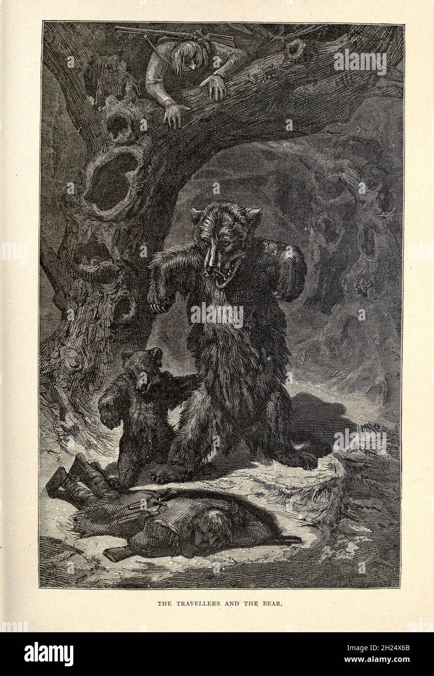 The Travellers and the Bear from Aesop's Fables illustrato da Joseph Benjamin Rundell, e pubblicato a Londra e New York da Cassell Petter e Galpin nel 1869 Foto Stock