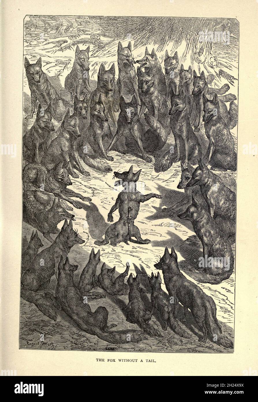 La volpe senza coda dalle favole di Aesop illustrate da Joseph Benjamin Rundell, e pubblicate a Londra e New York da Cassell Petter e Galpin nel 1869 Foto Stock