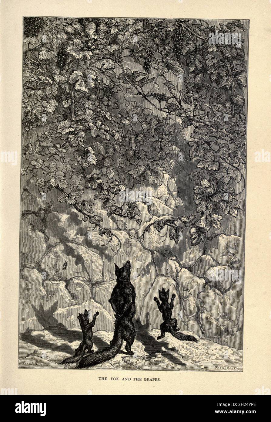 Dalle favole di Aesop illustrate da Joseph Benjamin Rundell, e pubblicate a Londra e New York da Cassell Petter e Galpin nel 1869 Foto Stock