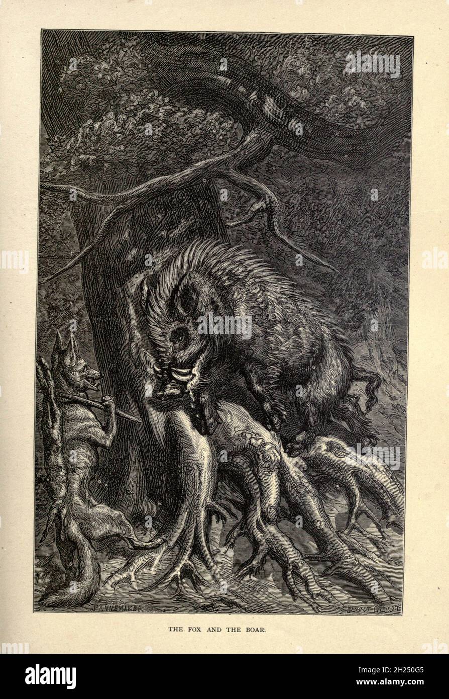 La volpe e il cinghiale dalle favole di Aesop illustrate da Joseph Benjamin Rundell, e pubblicate a Londra e New York da Cassell Petter e Galpin nel 1869 Foto Stock