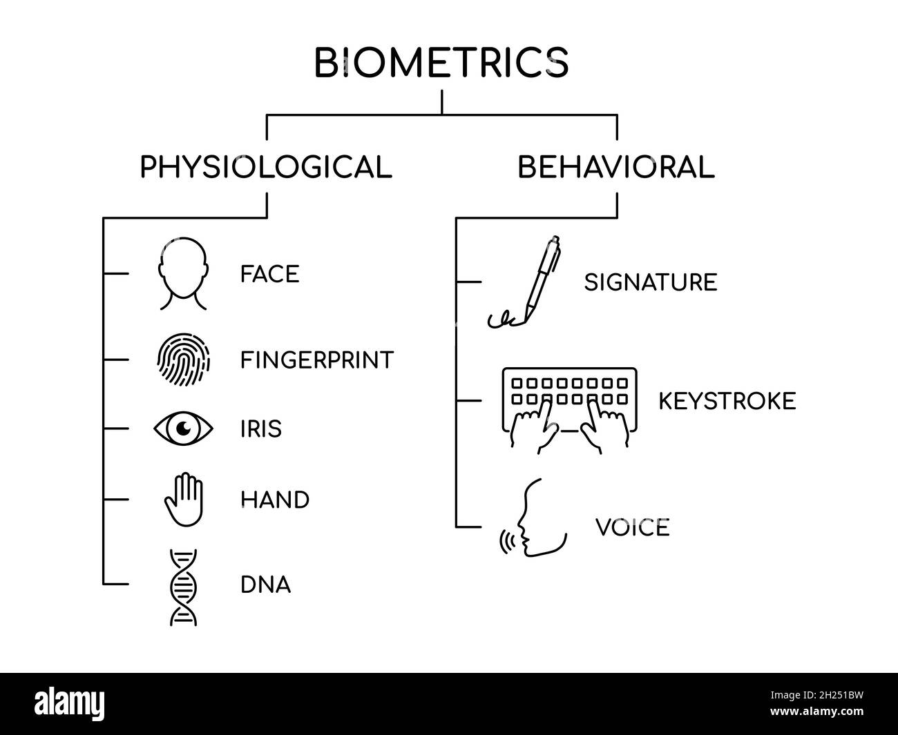 Serie di icone di linea dei tipi biometrici. Biometrico fisiologico e comportamentale. Caratteristiche uniche delle persone. Identificazione e controllo degli accessi. Vettore Illustrazione Vettoriale