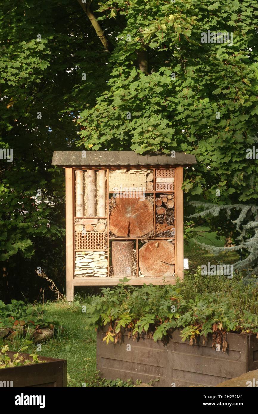 Un hotel per insetti, conosciuto anche come un hotel per insetti o una casa per insetti, è una struttura creata per fornire rifugio agli insetti e preservare la biodiversità Foto Stock