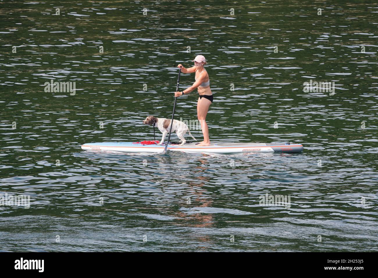 Aarhus, Danimarca - 7 agosto 2018: Donna in piedi con un cane su un paddle board sul mare Foto Stock