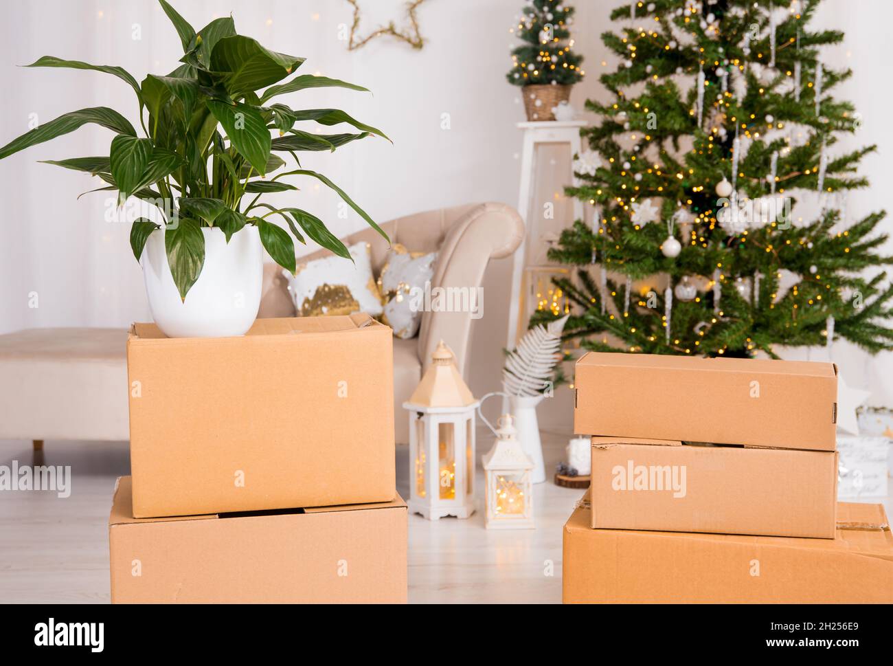In Movimento per la casa nuova per il concetto di Natale. Focus sulla delocalizzazione di cartone scatole e albero di Natale decorato con presenta sotto di esso sullo sfondo Foto Stock