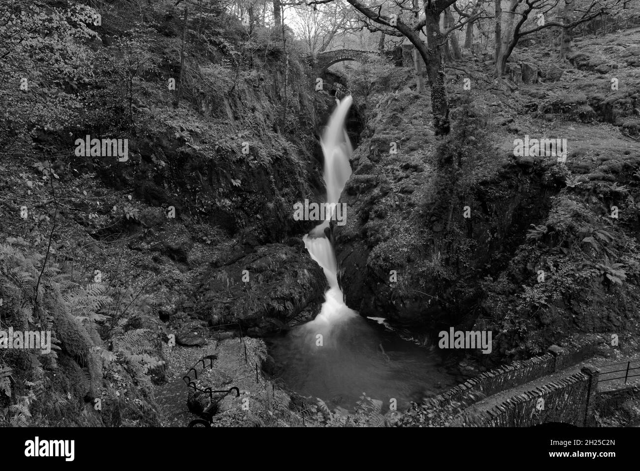 Autunno, cascata di Aira Force vicino Ullswater, Lake District National Park, Cumbria, Inghilterra Foto Stock