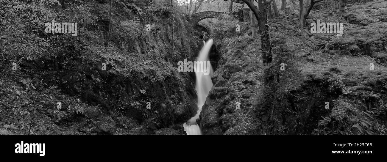 Autunno, cascata di Aira Force vicino Ullswater, Lake District National Park, Cumbria, Inghilterra Foto Stock