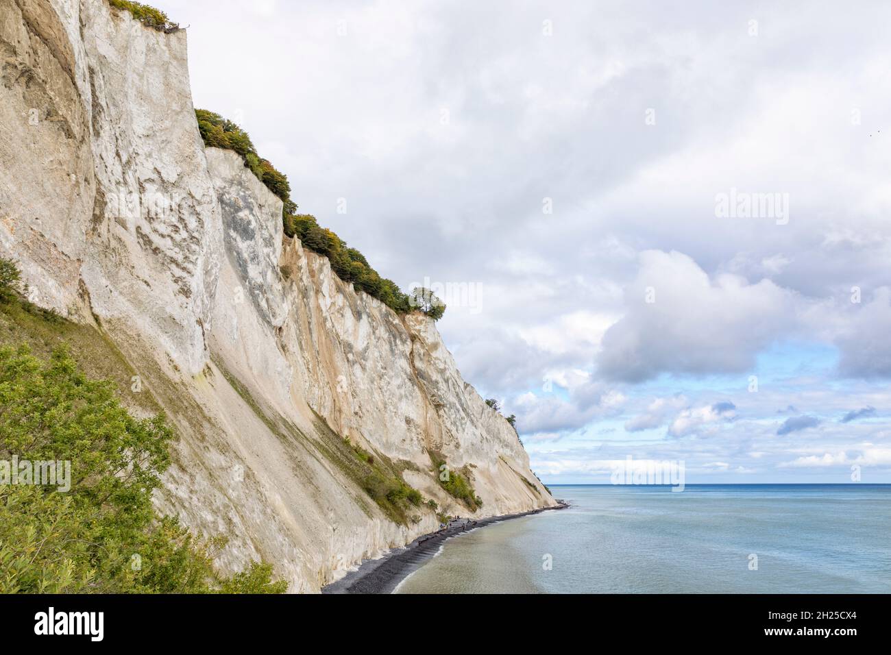 Scogliere calcaree di Møn, Danimarca, vista dalle scale alla spiaggia. Foto Stock