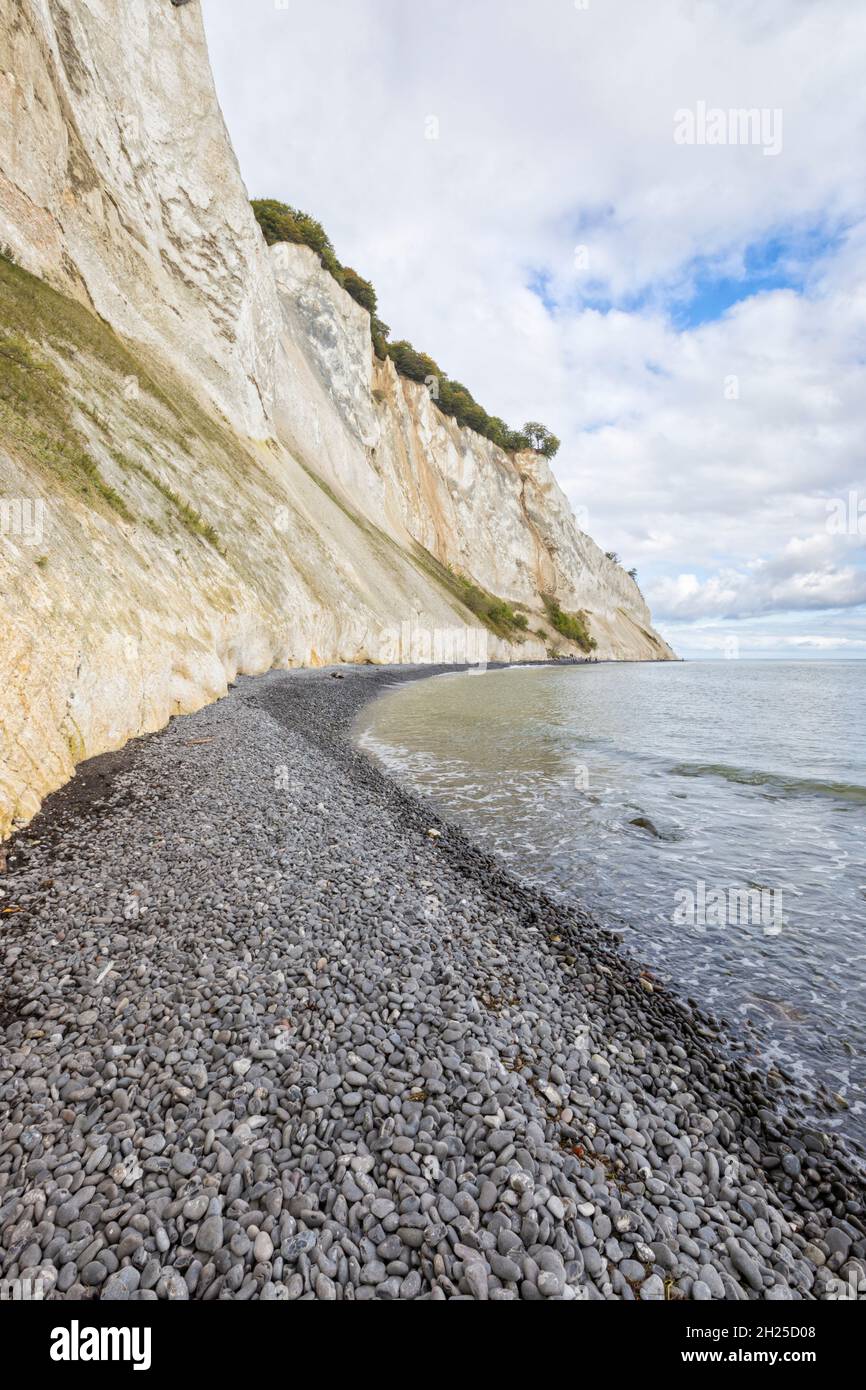 Famose scogliere di gesso bianco di Møn, Danimarca Foto Stock