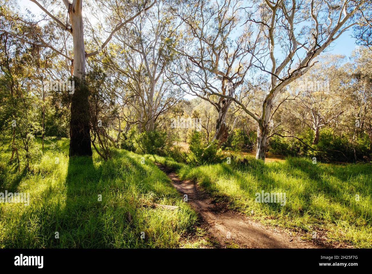 Yarra Trails a Melbourne Australia Foto Stock