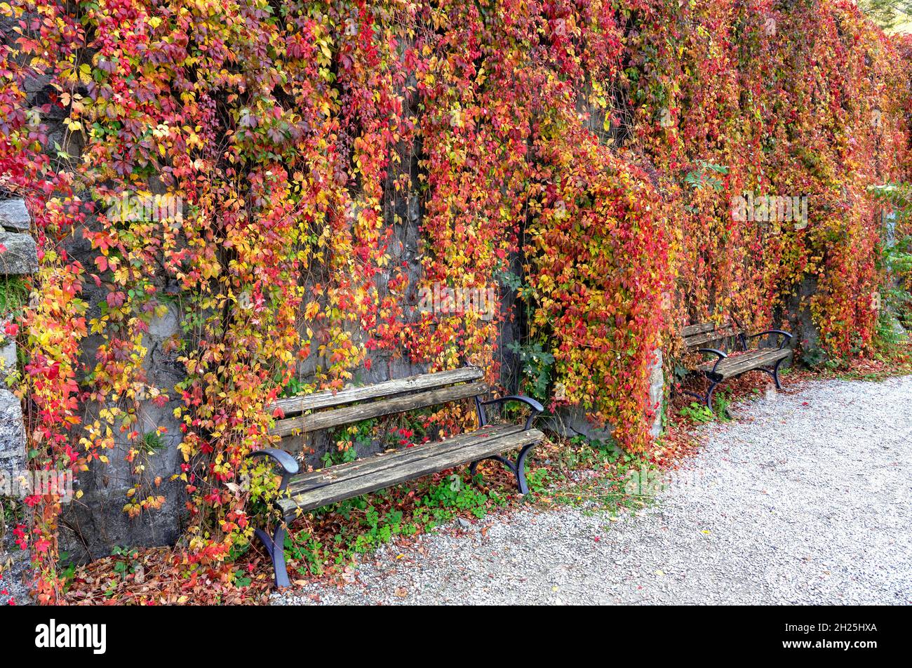 Panchine in bellissimo giardino pensile colorato del Palazzo in Lillafured Ungheria autunno stagione autunnale nel Parco Nazionale Bukk Foto Stock