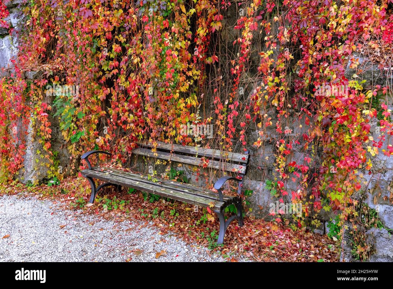 Panchine in bellissimo giardino pensile colorato del Palazzo in Lillafured Ungheria autunno stagione autunnale nel Parco Nazionale Bukk Foto Stock