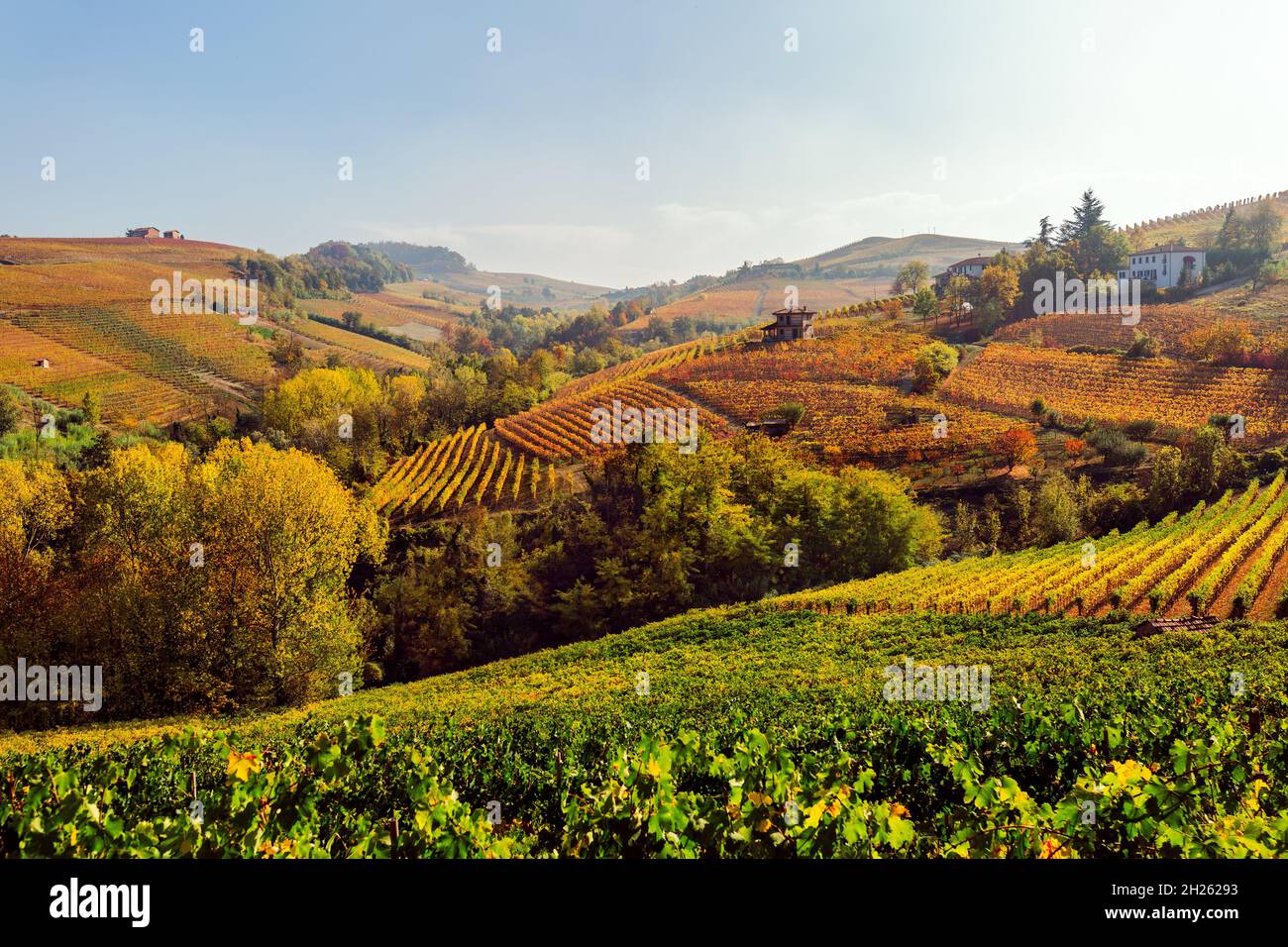 Le Langhe, Piemonte, Italia. Paesaggio autunnale Foto Stock