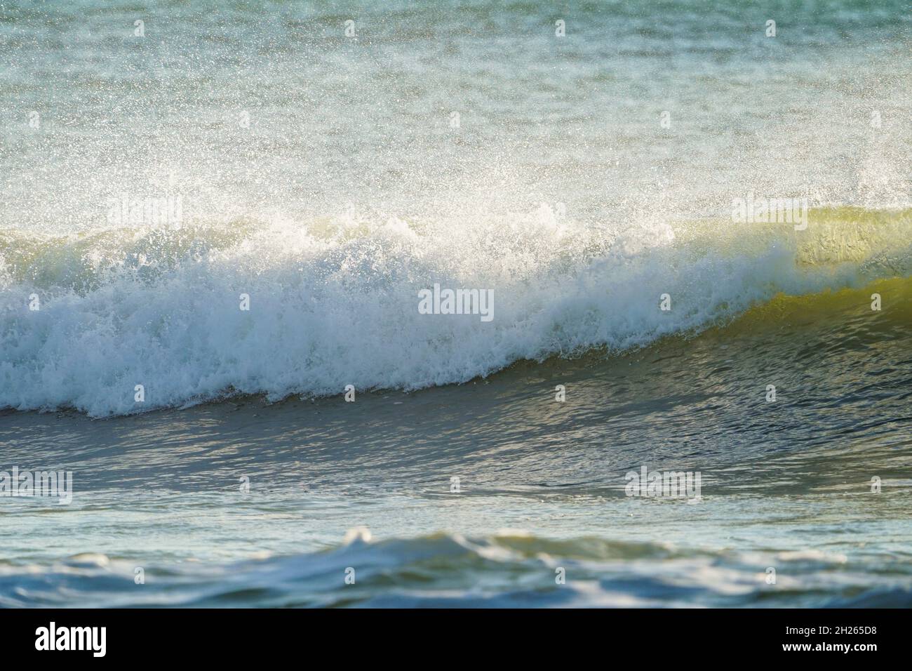 Infrangere le onde sulla costa in Spagna, Andalusia, Spagna. Foto Stock