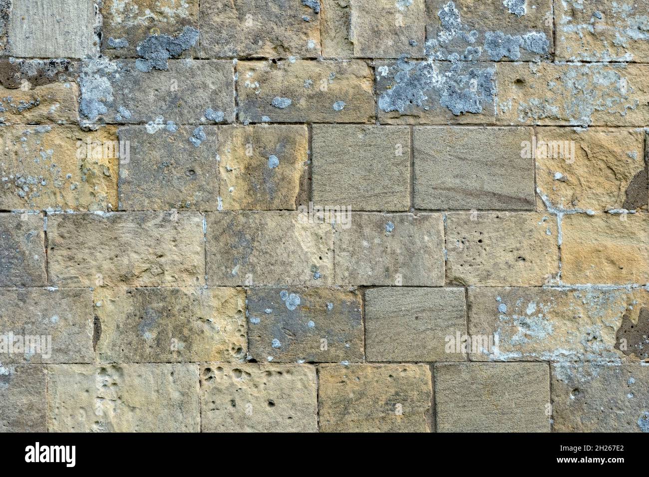 Un piatto su una sezione di muro di pietra vestito usando blocchi rettangolari Foto Stock