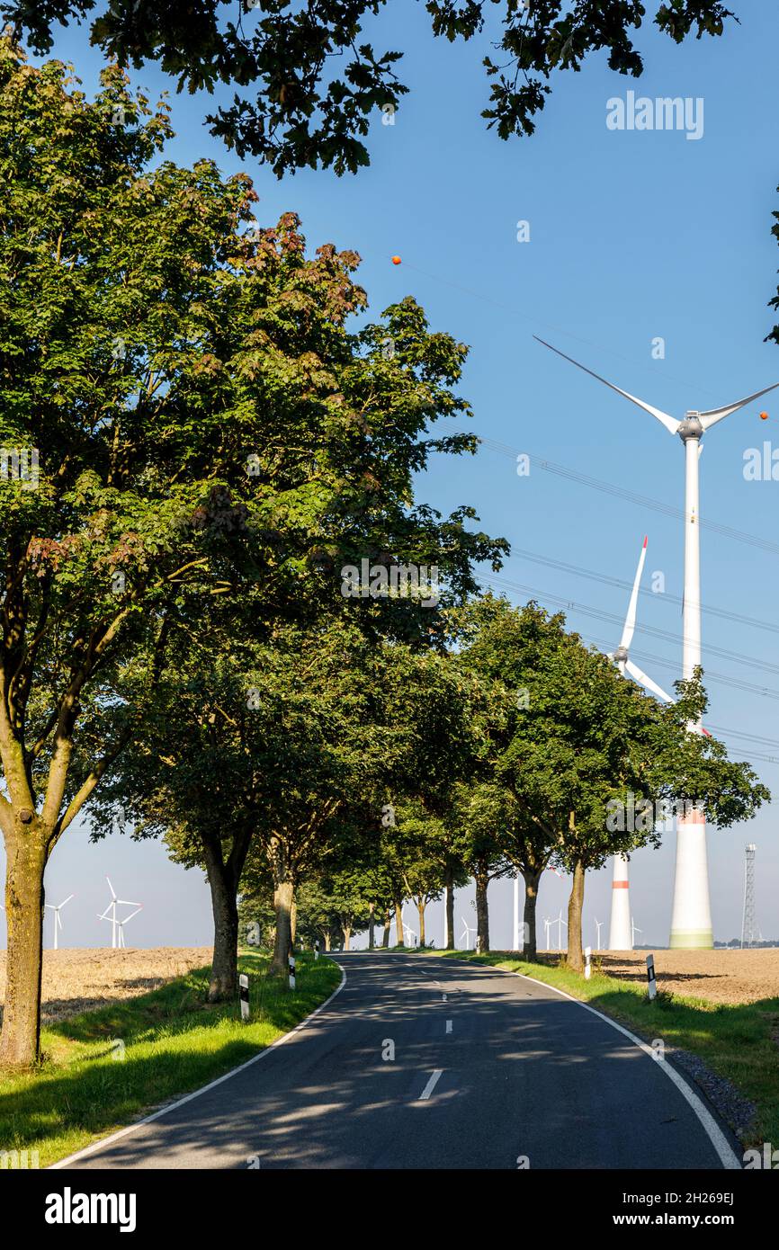 Turbine eoliche Foto Stock