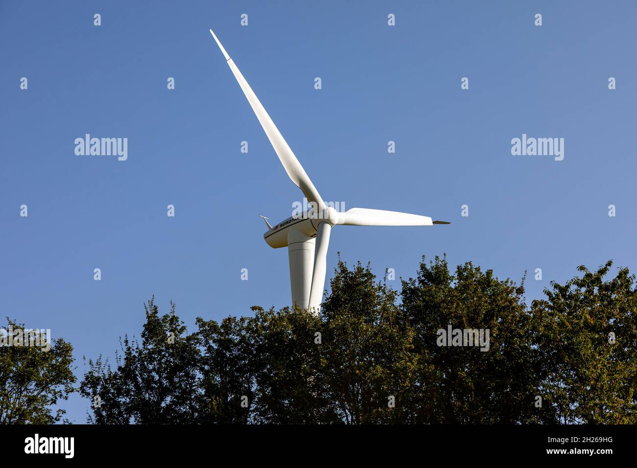 Turbina di vento Foto Stock