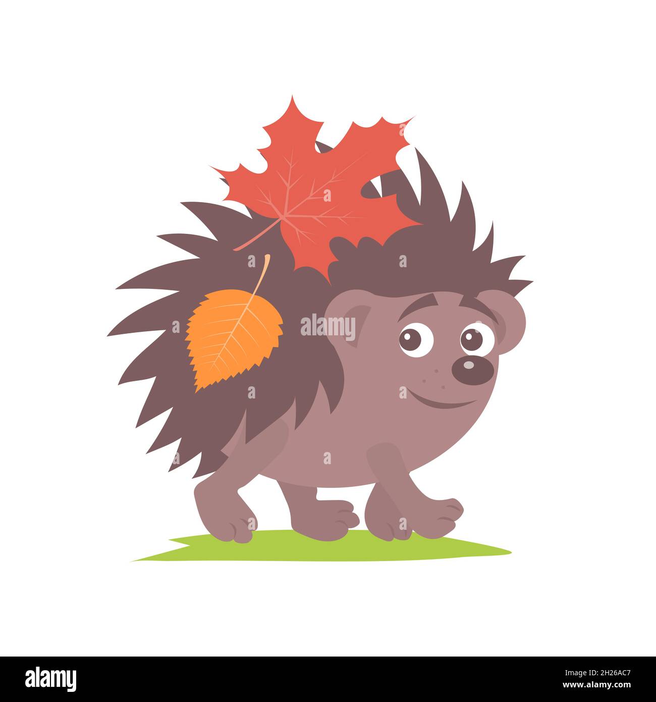 Piccolo hedgehog allegro con foglie d'autunno sul retro. Illustrazione di cartoni animati isolati vettoriali Illustrazione Vettoriale