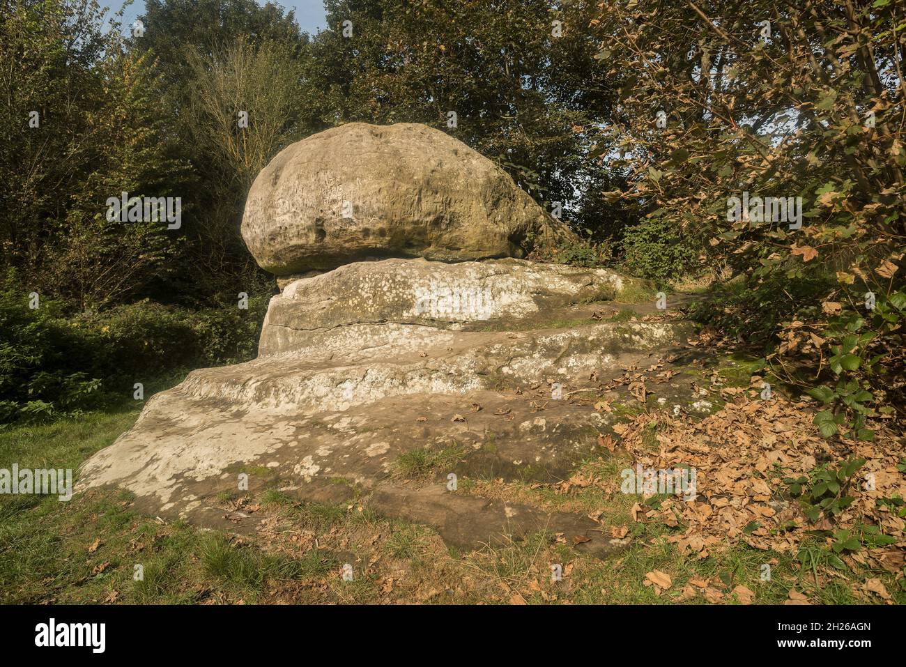 Pietra di chiodatura in erba vicino a campi eventualmente antichi druidi utilizzati per un altare o dove sono stati fatti giudizi sugli abitanti del villaggio di fronte ai graffiti Foto Stock