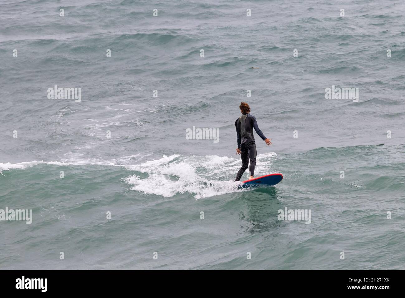 il surfista della muta cattura un'onda Foto Stock