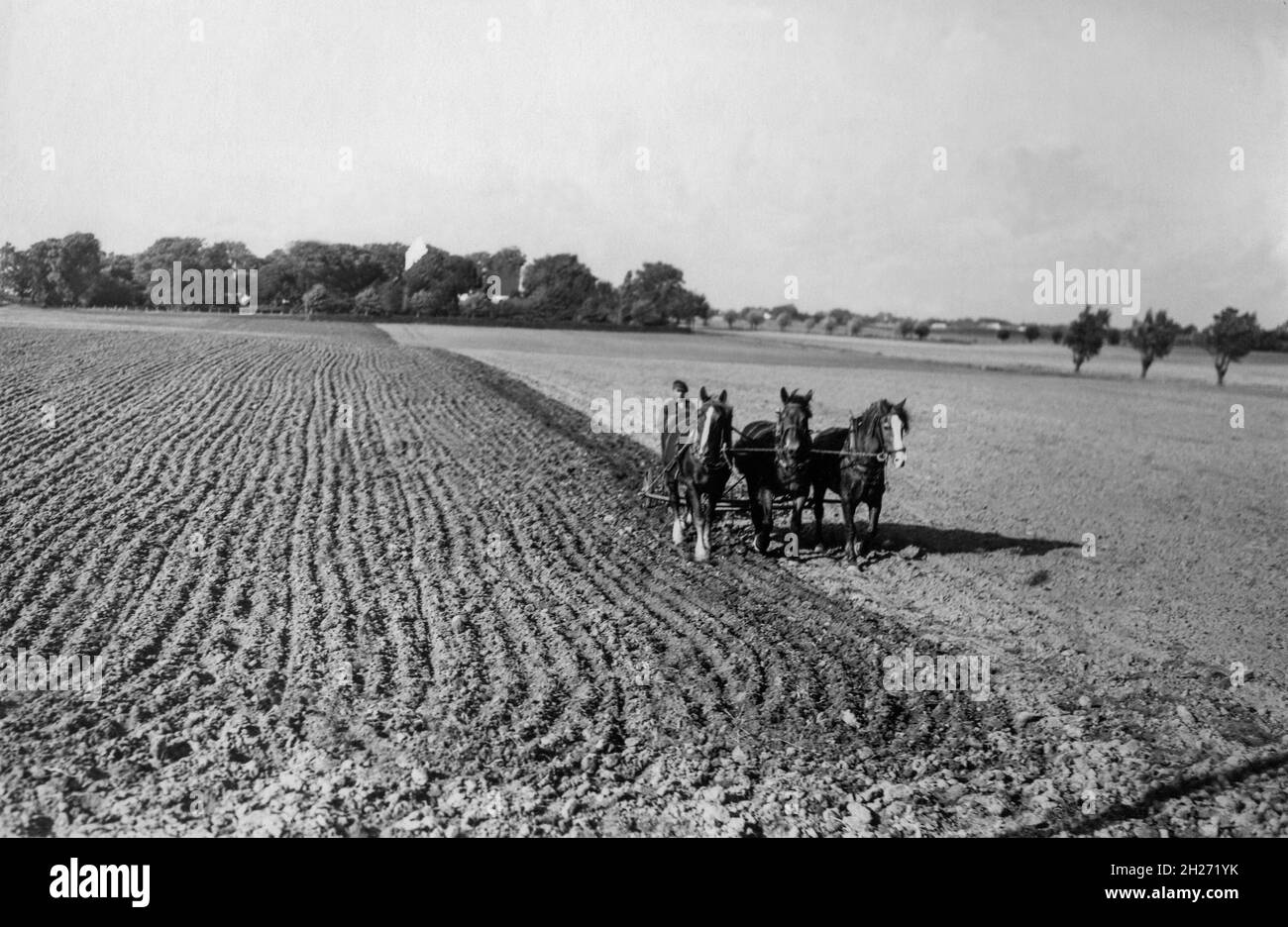 AGRICOLTURA in primavera i campi sono molestati prima di seminare Foto Stock