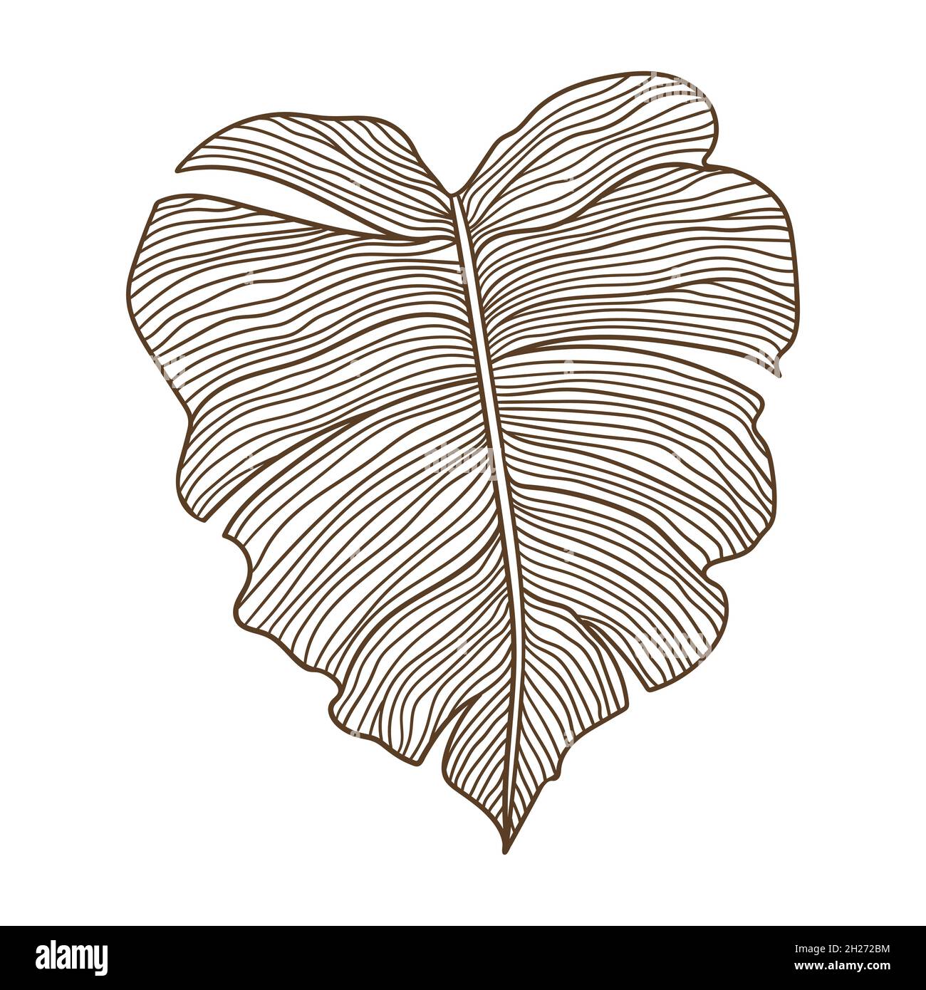 Illustrazione di una foglia di palma stilizzata. Immagine decorativa di fogliame tropicale e pianta. Illustrazione Vettoriale