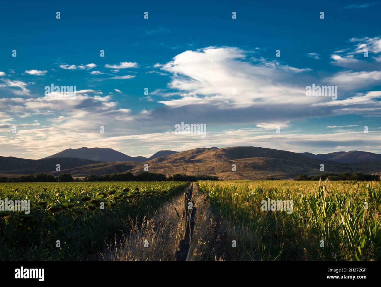 Bellissimo paesaggio della Sierra de la Ventana in Argentina Foto Stock