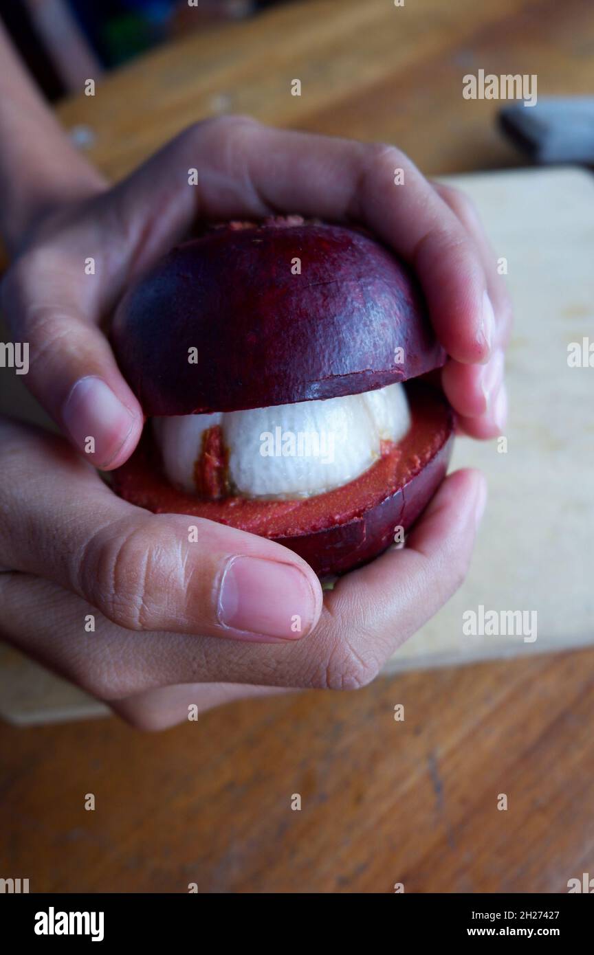 Uomo che rompe un mangosteen in due parti Foto Stock