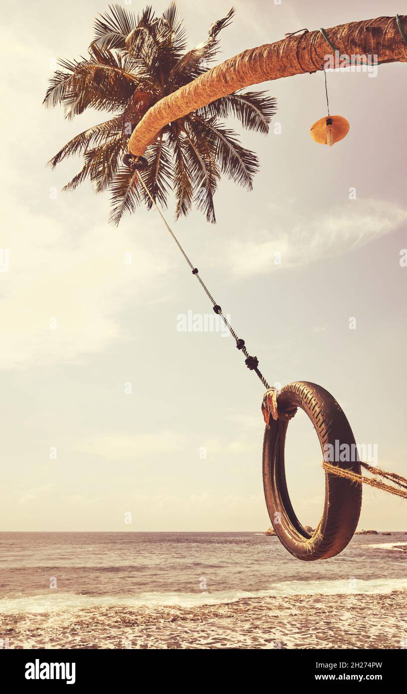 Albero di palma con vista oceano ruota pneumatico, tonificazione applicata  Foto stock - Alamy