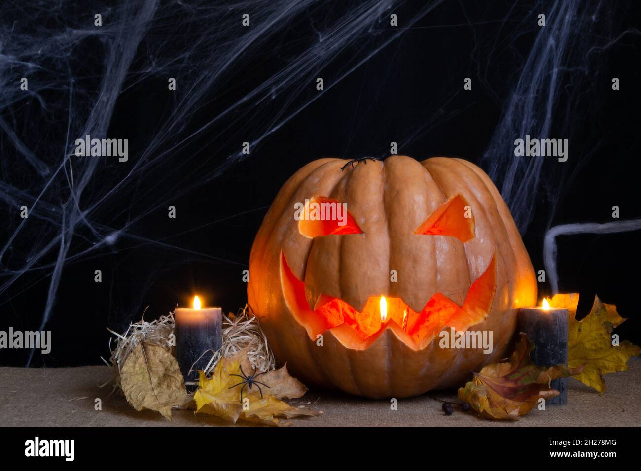 La foto di studio di Pumpkin, candele brucianti e spiderweb su sfondo scuro. Foto concettuale di Halloween. Foto Stock