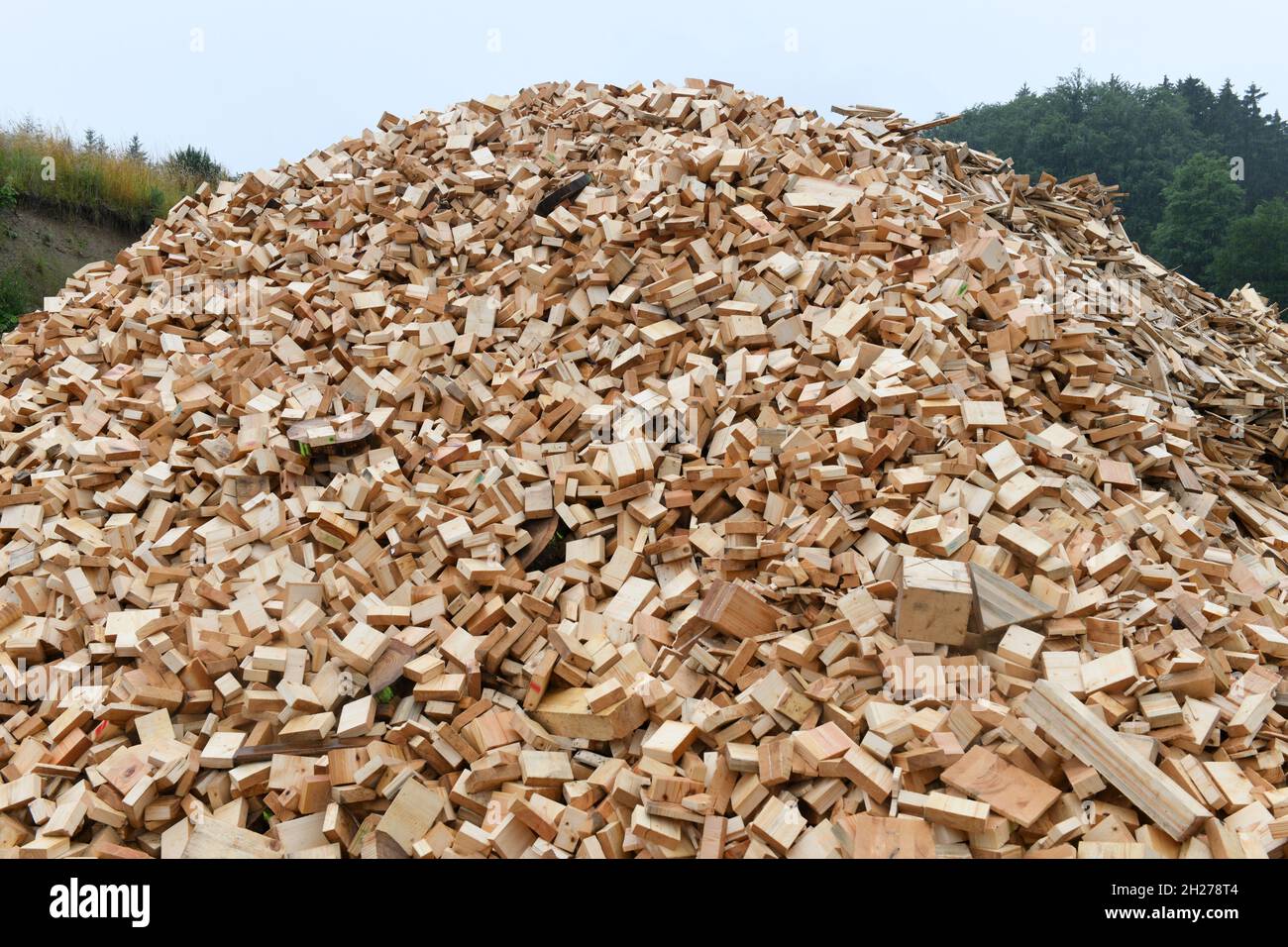 Holzabfälle bei einer holzverarbeitenden Firma in Österreich - rifiuti di legno presso un'azienda di lavorazione del legno in Austria Foto Stock