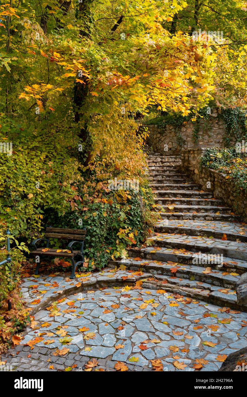 Panca e scale nel bellissimo giardino pensile colorato del Palazzo in Lillafured Ungheria autunno stagione autunnale nel Parco Nazionale Bukk Foto Stock