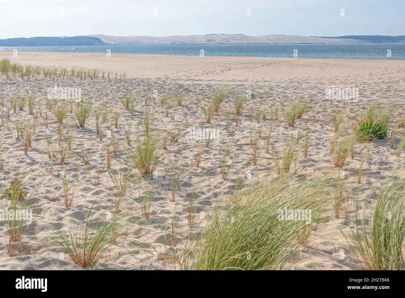 La vista dalla punta protetta della natura di Cap Ferret attraverso il Bassin d'Arcachon fino alla duna du Pilat, la duna più grande d'Europa. Foto Stock