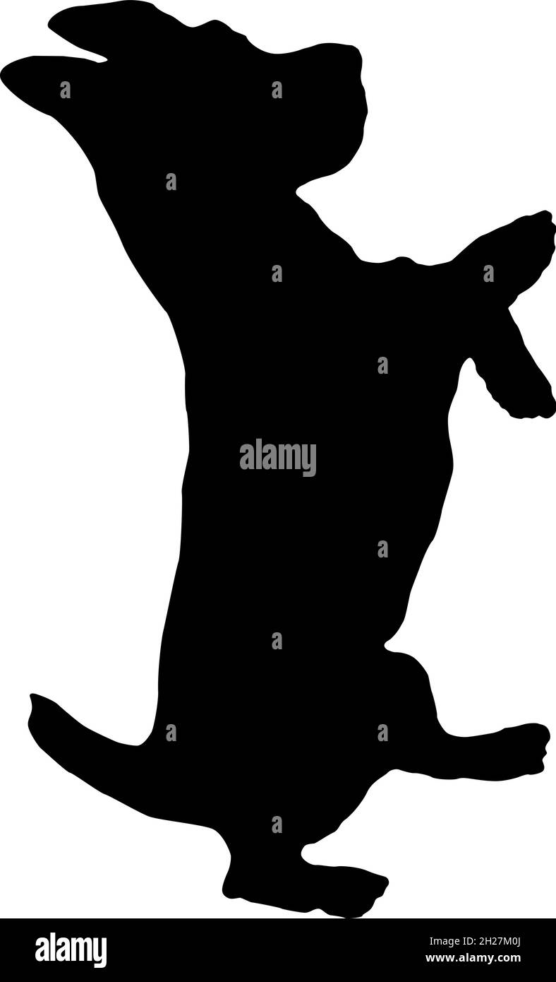 Silhouette nera per cani. Jack russell terrer cucciolo è in piedi sulle sue gambe posteriori. Animali domestici. Isolato su sfondo bianco. Illustrazione vettoriale. Illustrazione Vettoriale