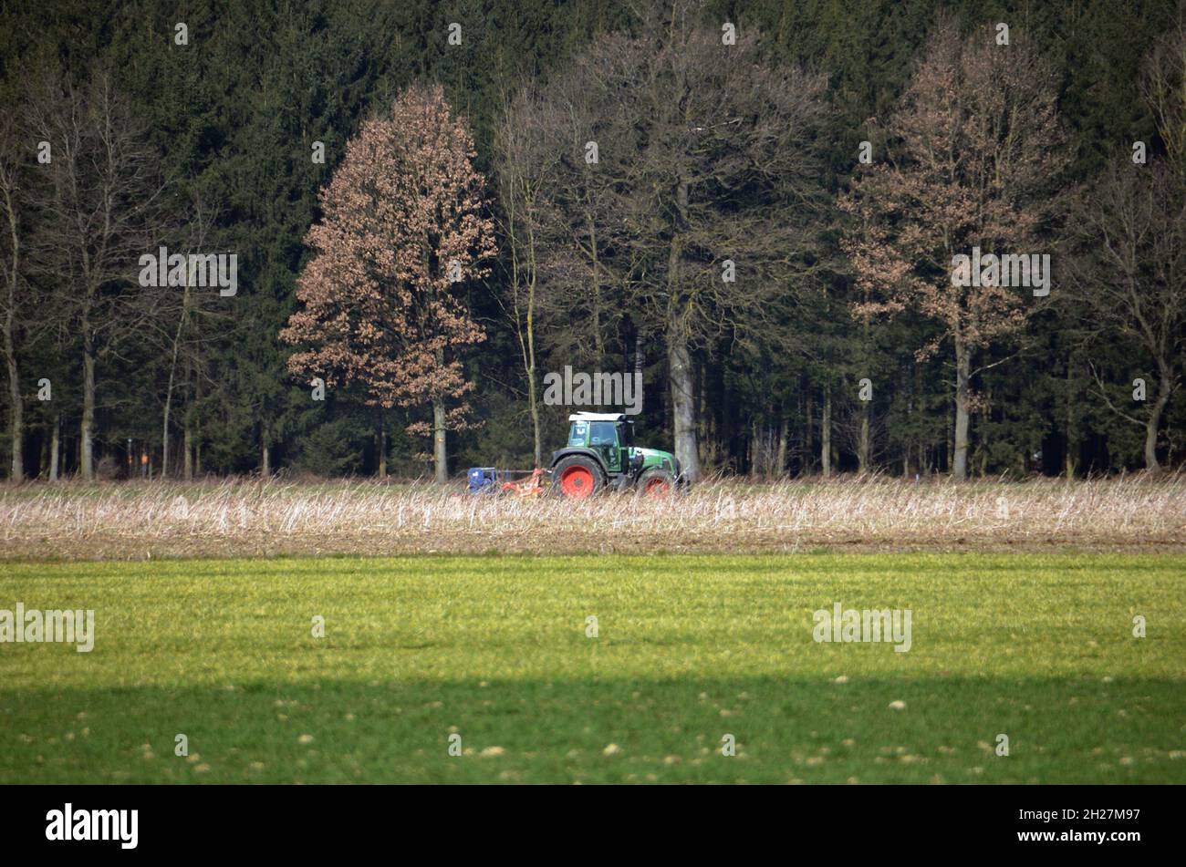 Traktor beim Ackern vor einem Großen Wald im Salzkammergut, Österreich, Europa - trattore di fronte a una grande foresta nel Salzkammergut, Aust Foto Stock