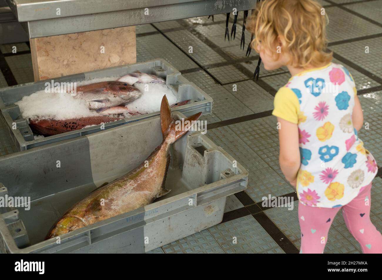 Ragazza curiosa che guarda la cattura di pesce al mercato locale. Foto Stock