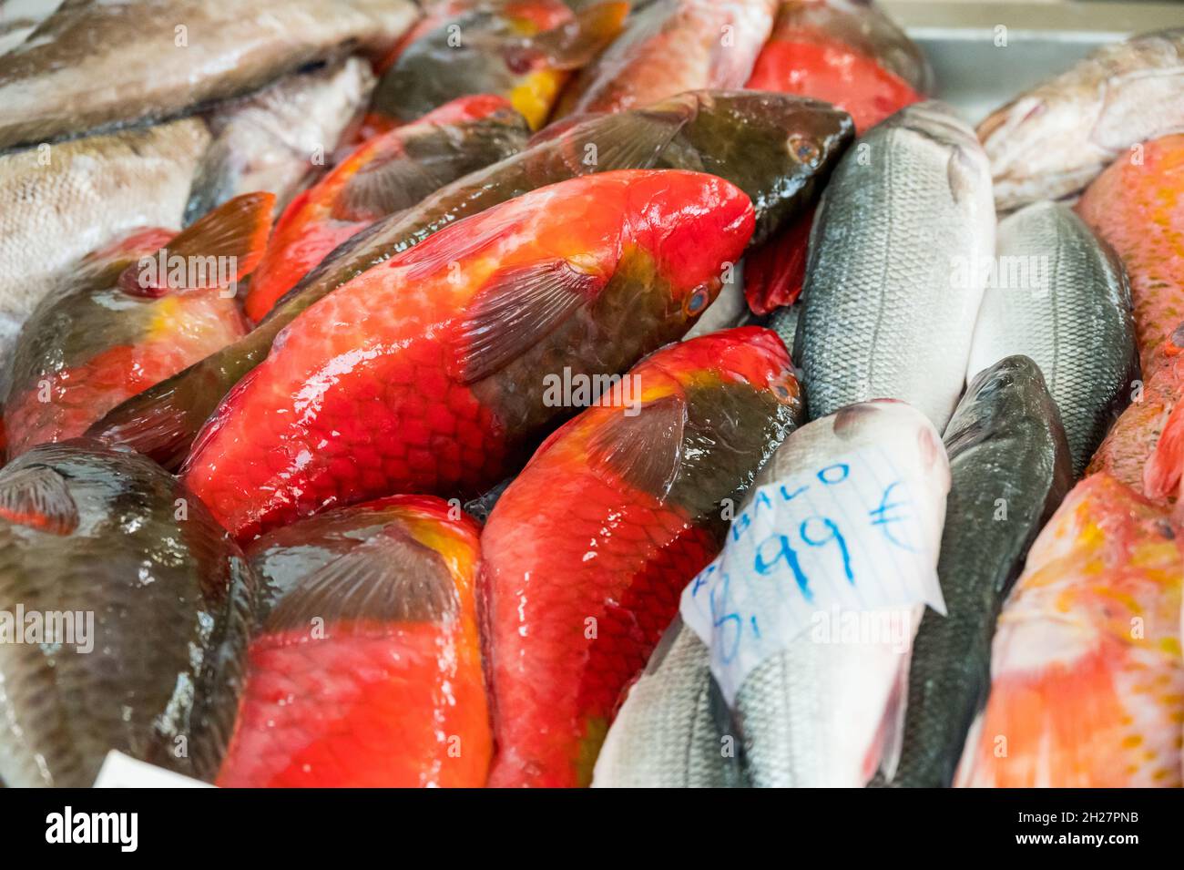 Pesce d'oceano tropicale fresco su ghiaccio pronto per i clienti al mercato. Foto Stock