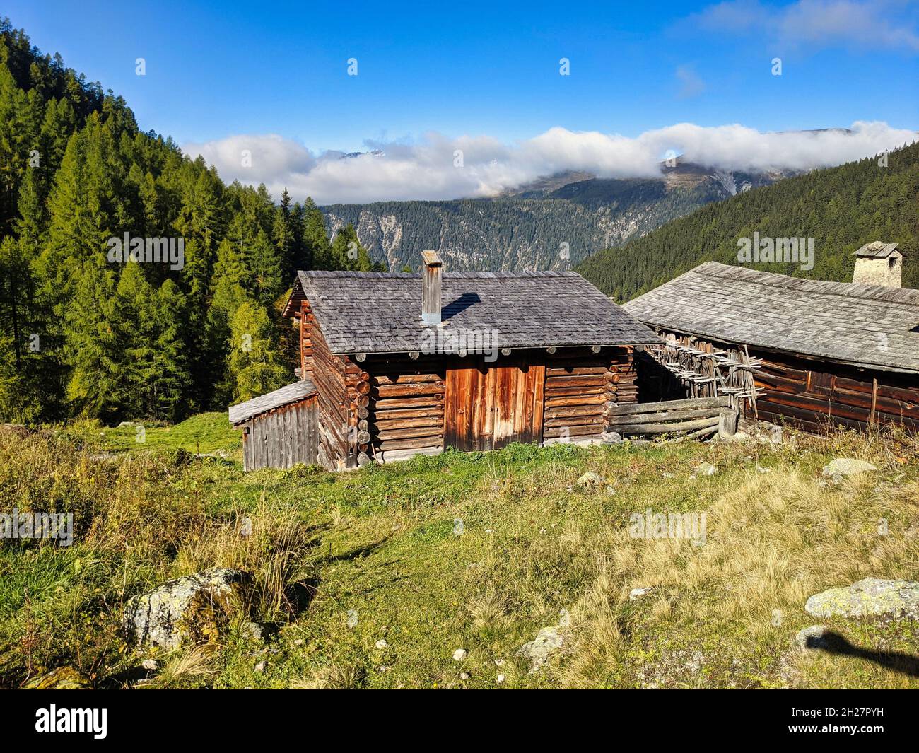 la testa del vecchio contadino sul prato alp sopra monstein davos. bellissimo paesaggio escursionistico in svizzera. ora d'autunno Foto Stock