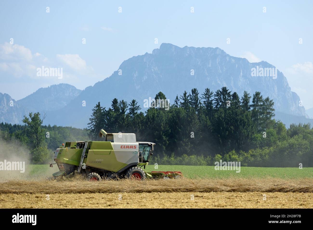 Mähdrescher auf Getreidefeld im Salzkammergut (Oberösterreich, Österreich) - mietitrebbia su campo di grano nel Salzkammergut (Austria superiore, Aus Foto Stock