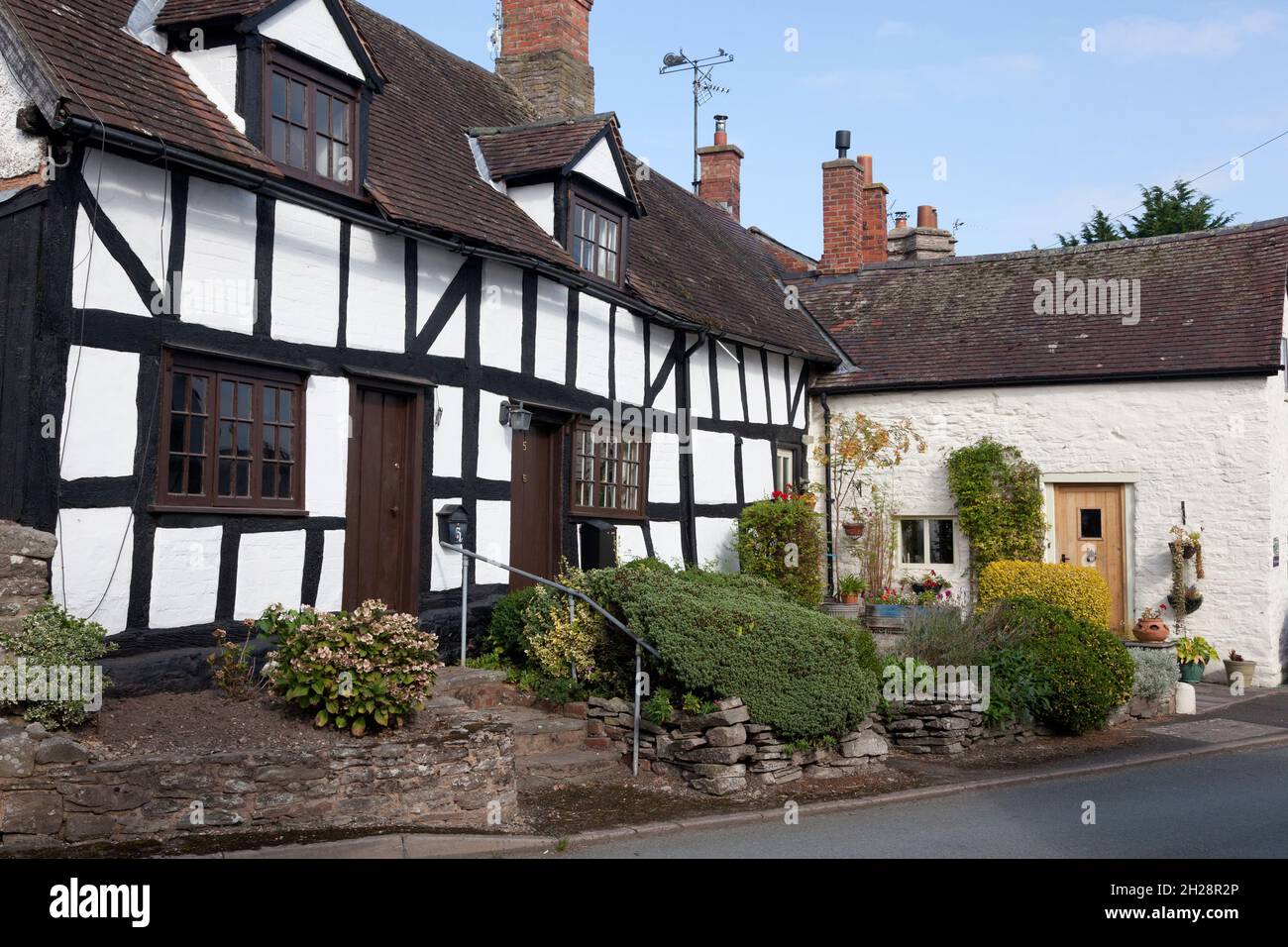 Vecchie case a graticcio su Church Road, Eardisley, Herefordshire Foto Stock