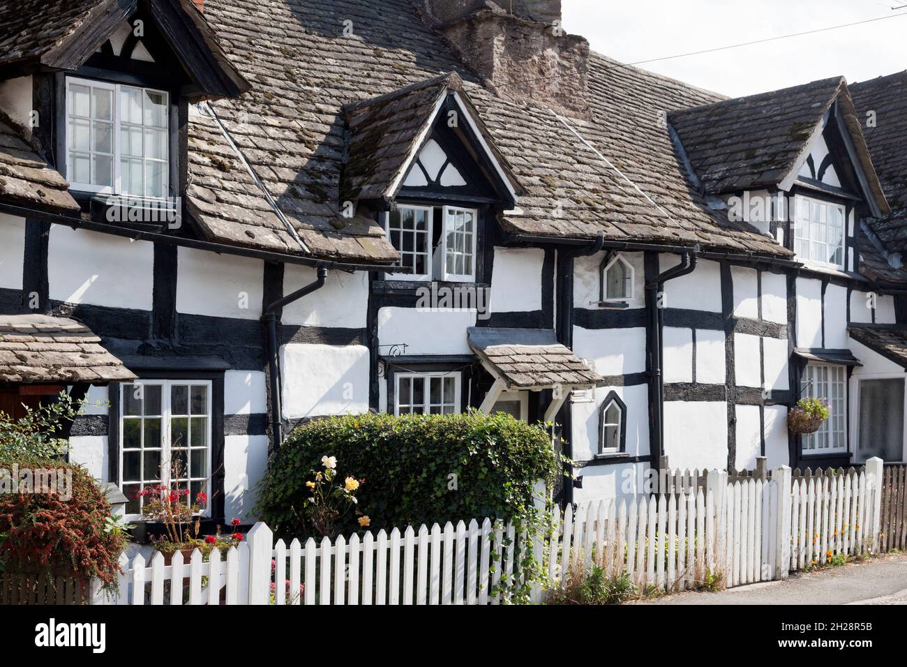 Vecchie case a graticcio su Church Road, Eardisley, Herefordshire Foto Stock