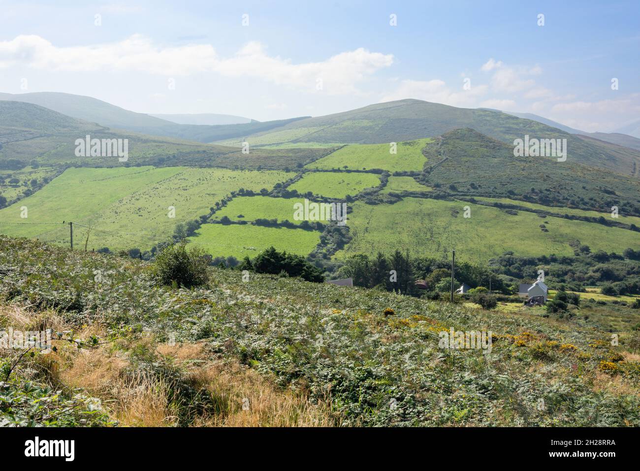 Vista panoramica della campagna, Penisola di Dingle (Corca Dhuibhne), Contea di Kerry, Repubblica d'Irlanda Foto Stock