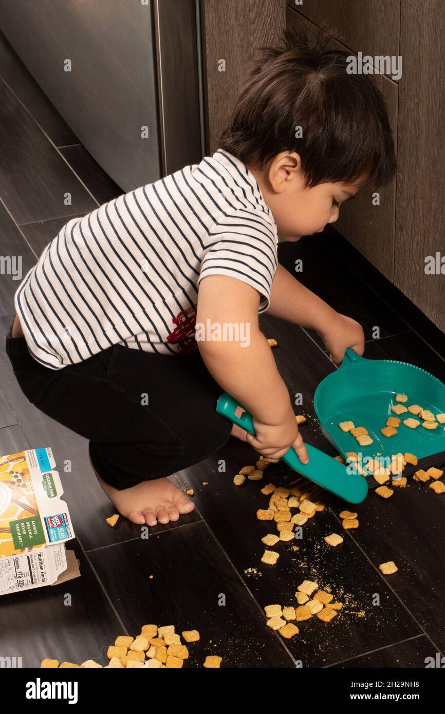 Ragazzo di due anni che spazzava i cereali fuoriusciti con un recipiente per la polvere e una spazzola Foto Stock