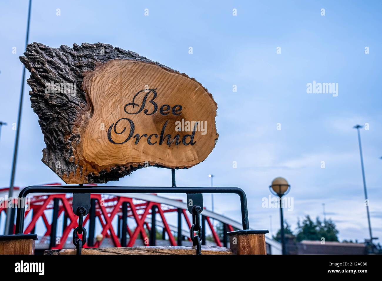 Bee Orchid ristorante segno a Manchester. Foto Stock