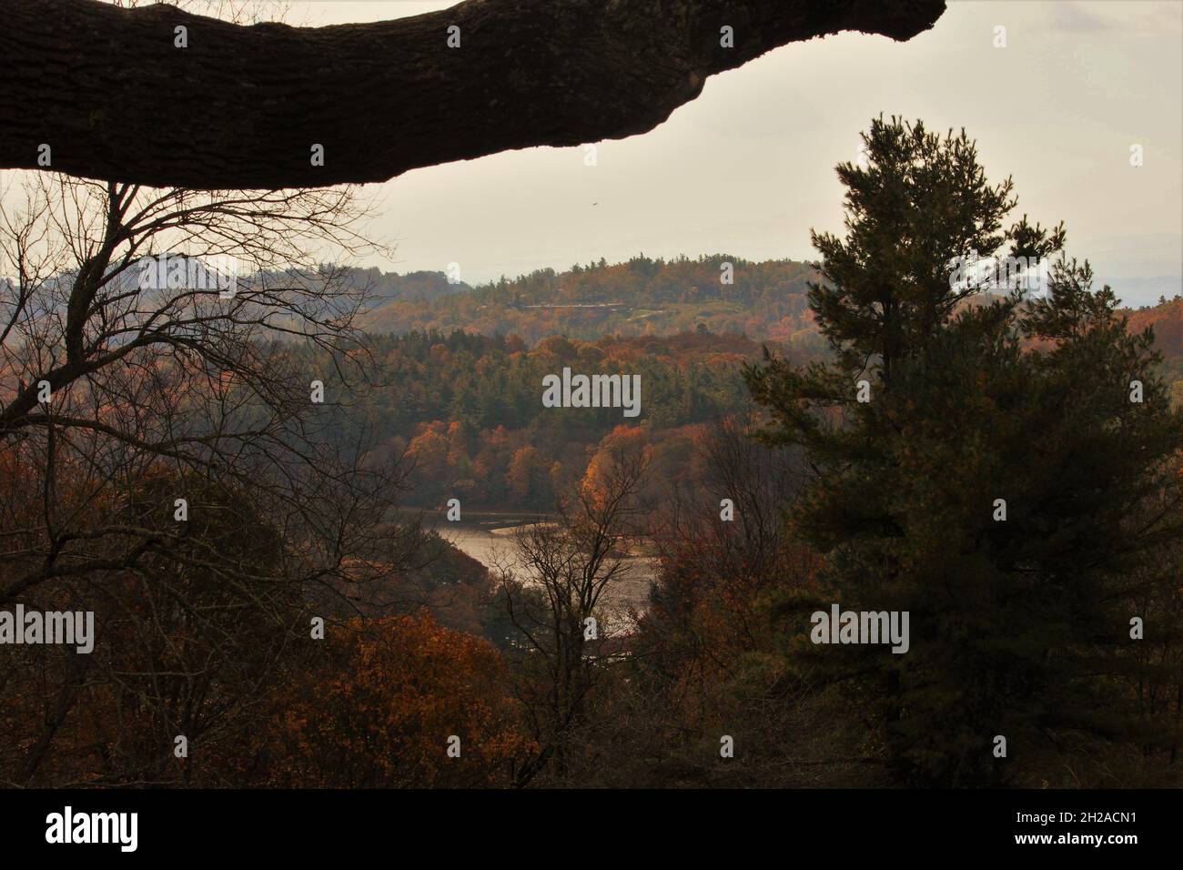 La vista dalla Blue Ridge Parkway nel North Carolina Foto Stock