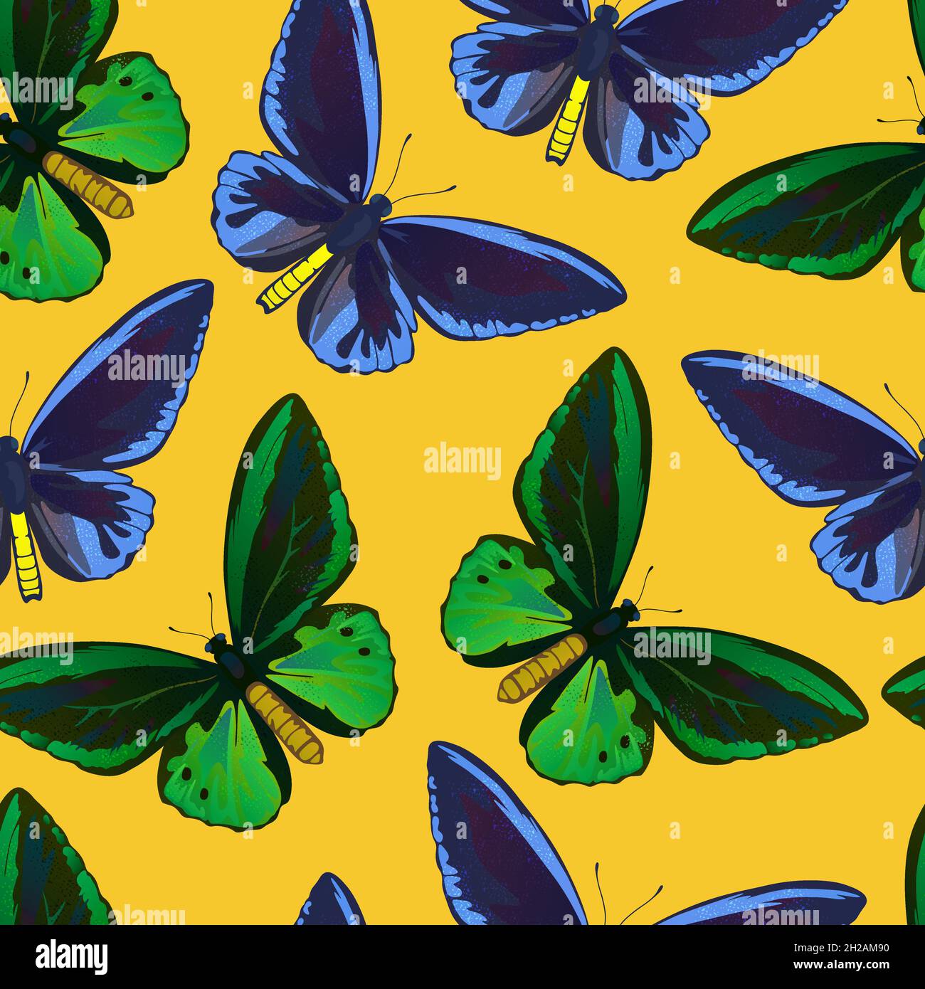 Senza cuciture con coloratissime farfalle tropicali, coda di rondine e birdwing, papilio e ornitoptera papilionidae. Illustrazione Vettoriale
