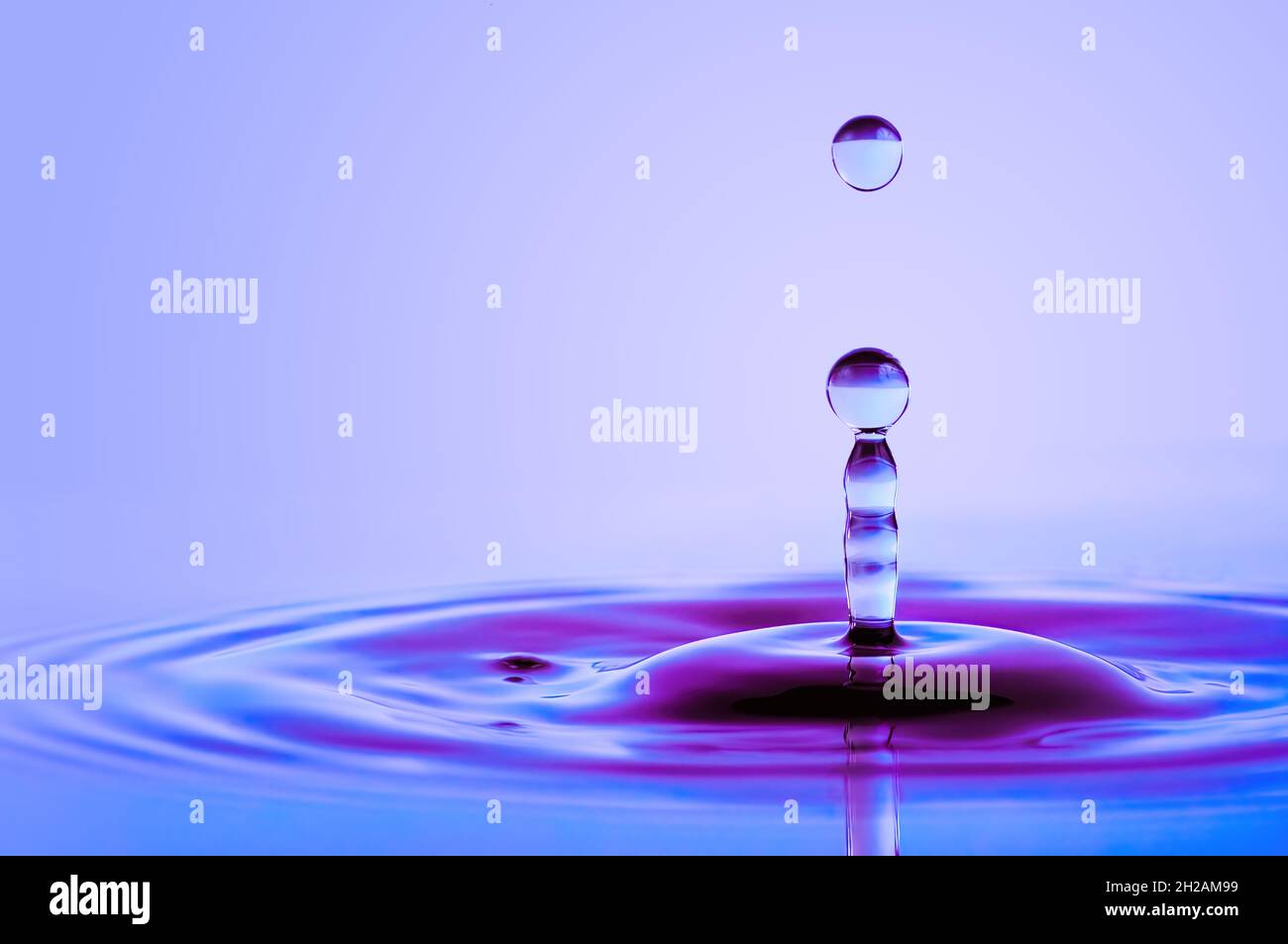 Goccia che cade sulla superficie dell'acqua nelle sfumature di luce blu e viola Foto Stock