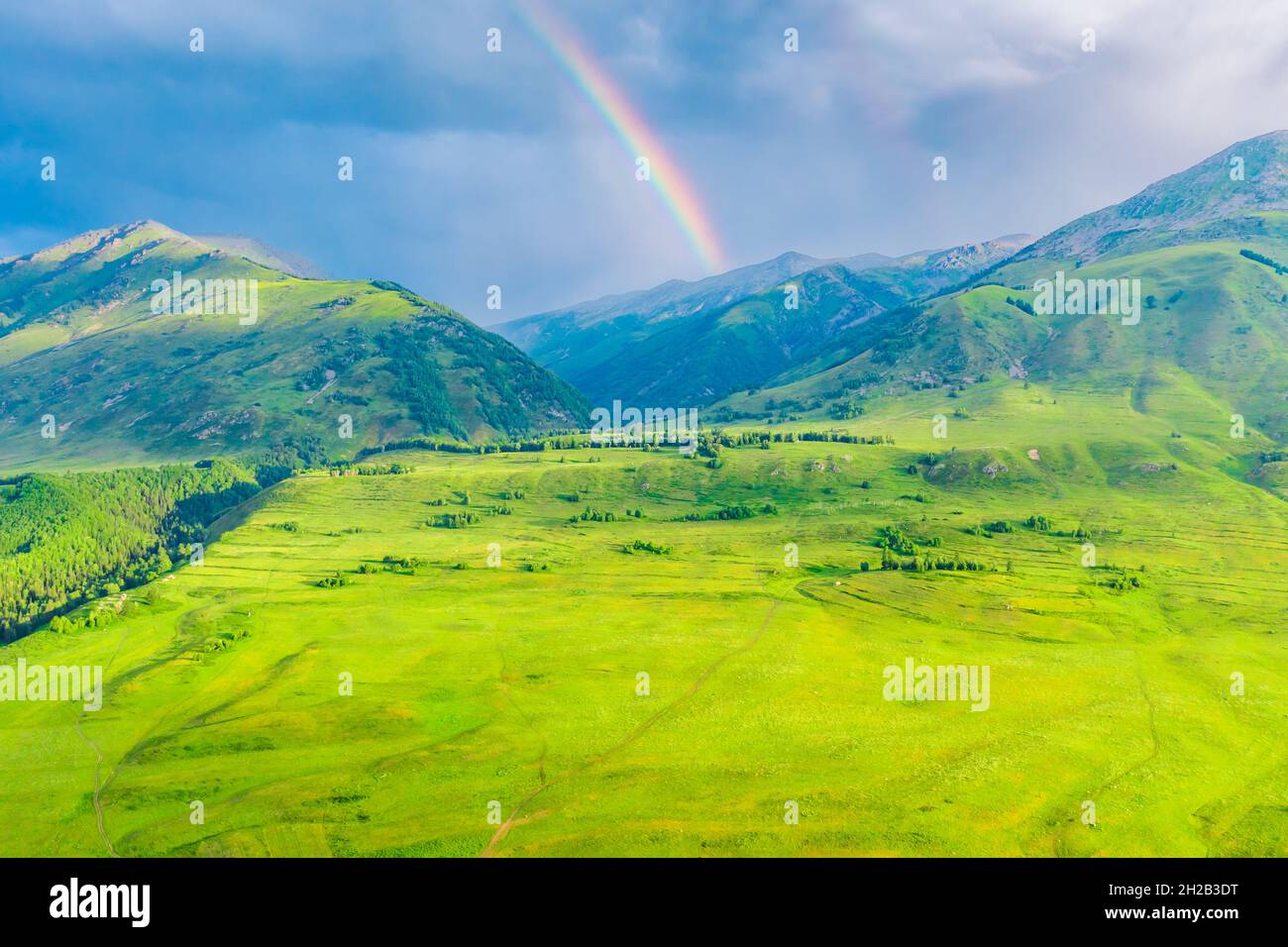 Montagna e foresta con paesaggio naturale prateria a Hemu Village, Xinjiang, Cina. Foto Stock